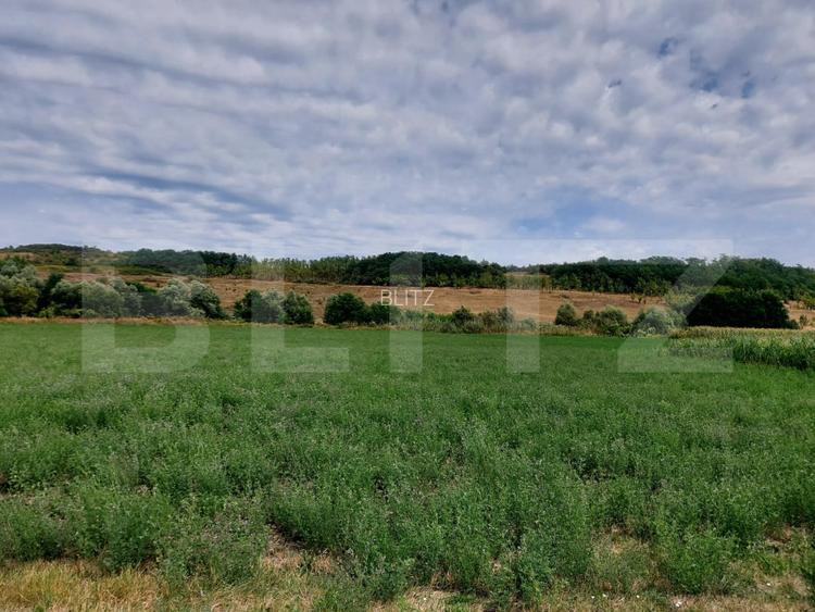 De vanzare teren Fundatura 27500mp - intravilan