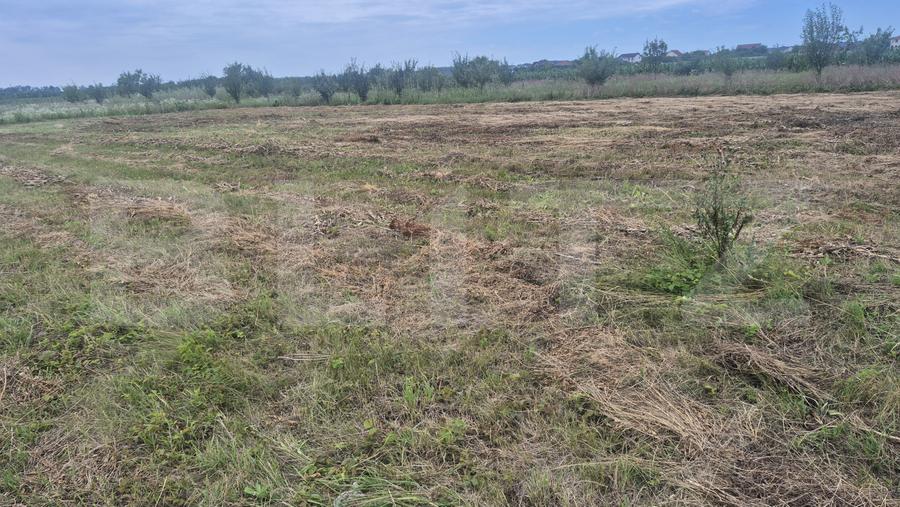 Teren intravilan de vanzare, 1000 mp, zona Martinesti