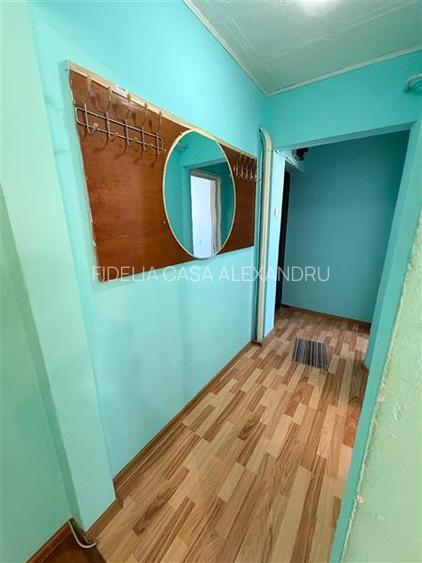Apartament cu 3 camere Alexandru cel Bun  Piata Voievozilor - 14