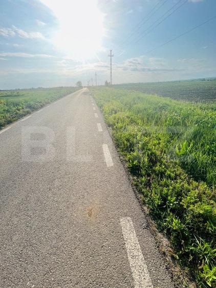 Teren 5500mp extravilan,Sat Dimoiu
