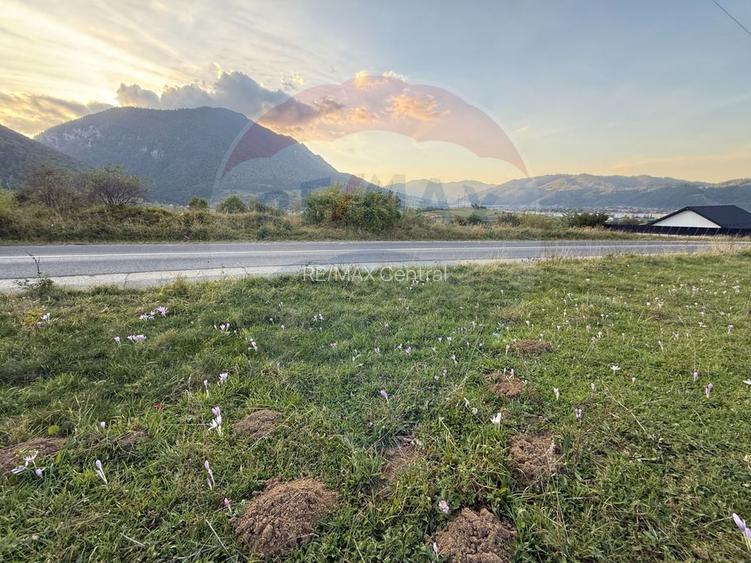 Teren 646mp intre Bran si Zarnesti (Tohanita,) intravilan - 16