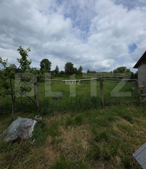 Casa 3 camere, 100 mp, teren, 2000 mp, zona Vest - 10