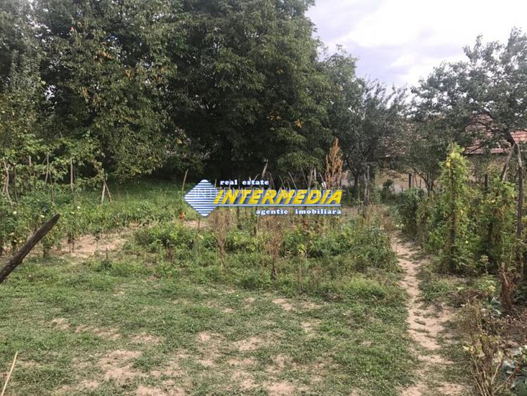 OKAZIE! Casa in Cricau 3 Camere 1300 mp. Curte Teren Fantana Utilitati Asfalt - 16