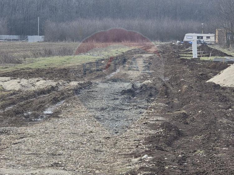 Teren 704 mp Silistea Snagovului vecinatate Padurea Snagov