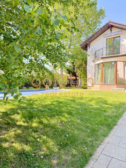 Vila individuala/Iancu Nicolae/ Piscina/Curte generoasa/Garaj/Jolli Ville - 5