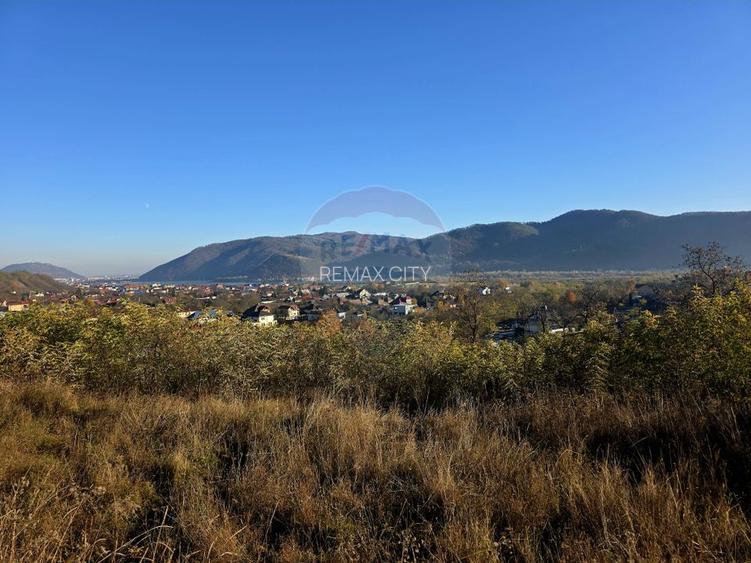 Teren 6,874mp Alexandru cel Bun / Strada plopusor - 14