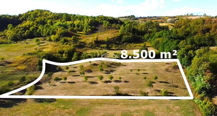VIDEO | Super view | Teren 8.500 m² in Maramures | Viitorul tau colt de liniste