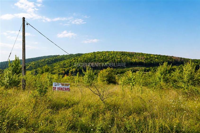 450mp intravilan, cu vedere spre lac, Moacsa, Covasna - 8