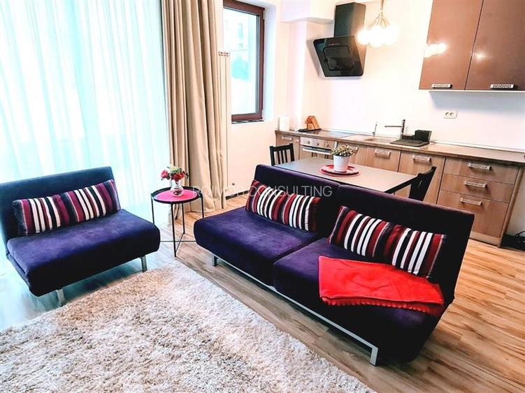 Apartament 2 camere spatios, langa parcul Herastrau - 3