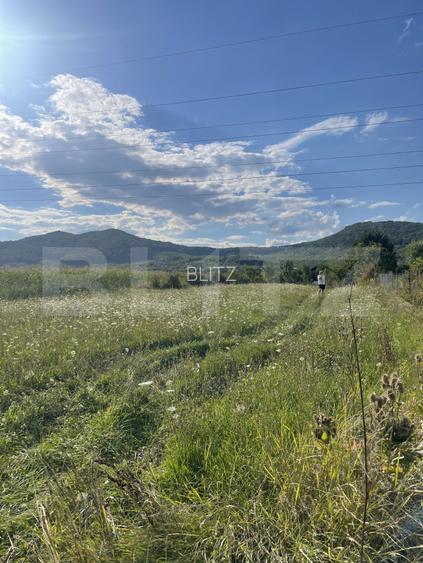 Teren intravilan Viișoara – ideal pentru casă sau investiție - 2