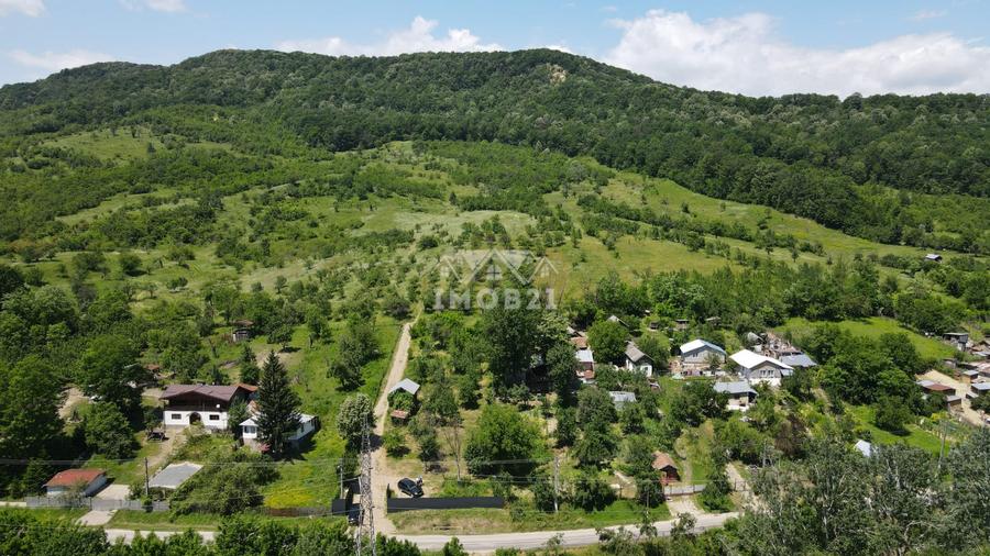 Teren spectaculos cu padure, livada si priveliste panoramica in Soimari PH