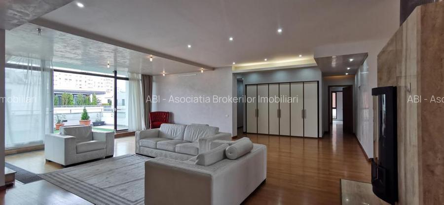 Dorobanti Penthouse supr. 235mp terasa 130mp - 4