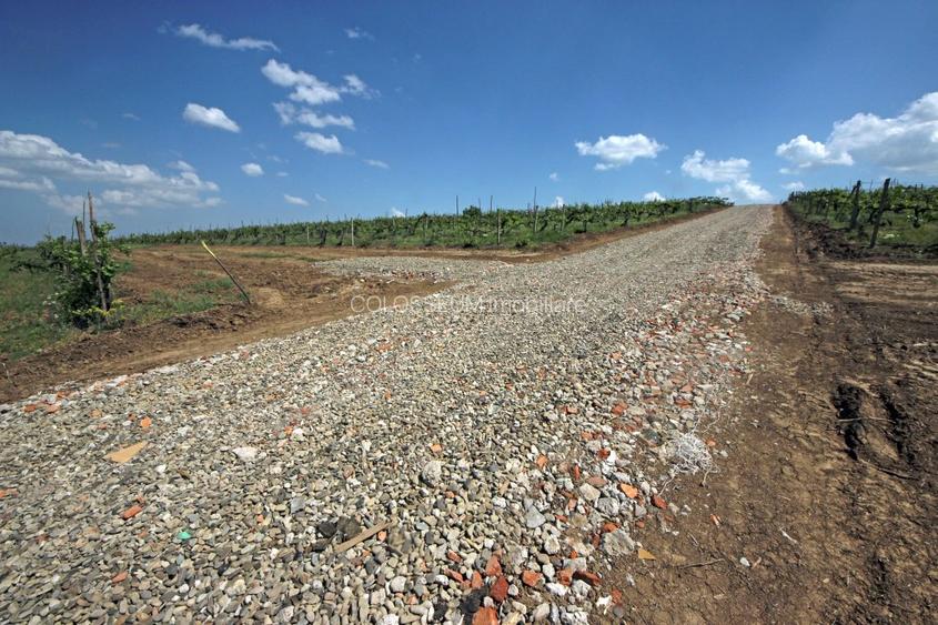 Teren de vanzare,  la 1,3km de LIDL Bucium, vecinatate cartier Panoramic - 7