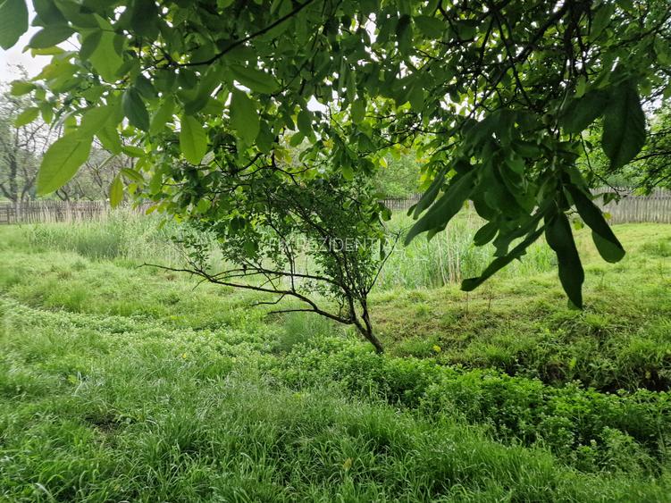 Casa la 5 km de Targu-Neamt - cu iaz si livada matura - gata pentru mutat - 5
