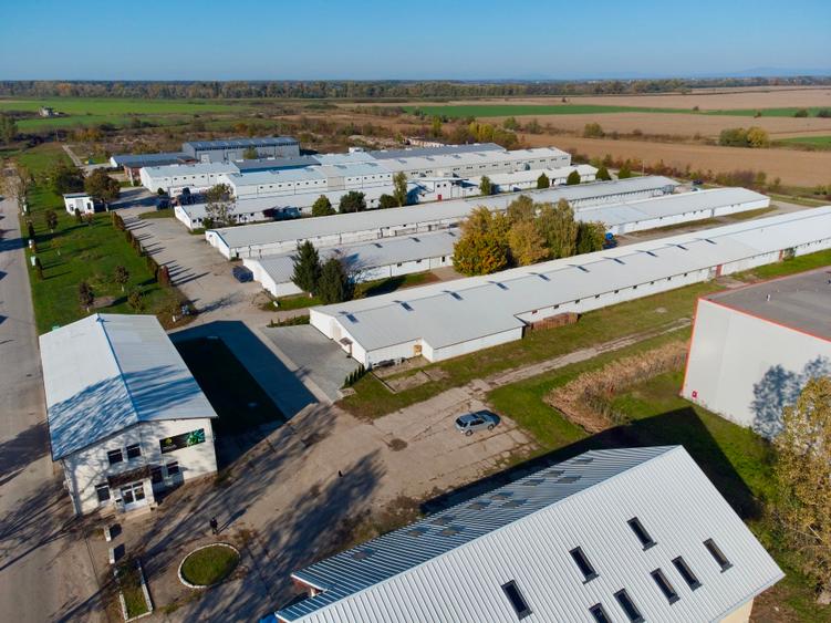 Hala de inchiriat in Satu Mare I Parc Industrial ARELI I 162 mp I 324 mp I900 mp