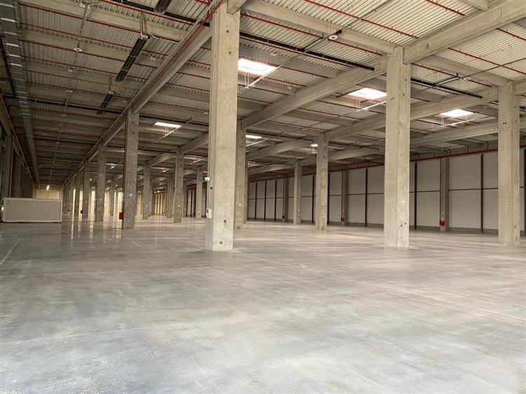 Inchiriere depozit/hala/spatiu industrial Chitila - Centura, Ilfov