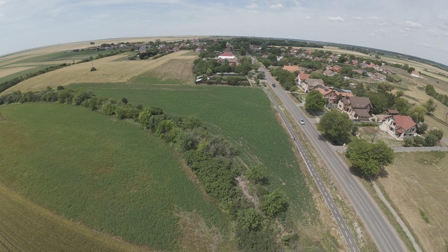 Teren intravilan Zadareni-Bodrogul Nou 8000mp 141m front - Soseaua principala