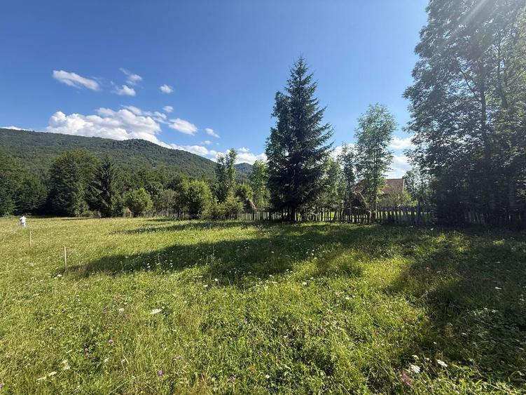 Teren intravilan 1662 mp pozitie superba-Calea Brasovului Valea Neagra