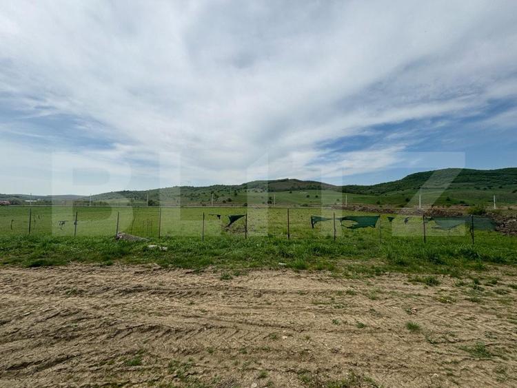 Hala, 230mp , zona Sud