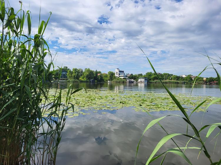 Snagov  Ultimul Refugiu la Lac: Proprietate Rara cu Priveliște de Poveste