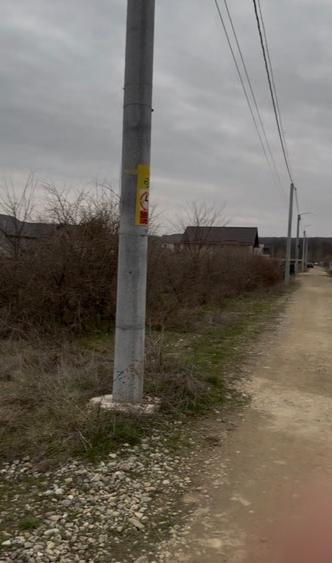 📍 Teren intravilan Premium – 538 mp | Aleea Bradului 59, Smeura – Moșoaia