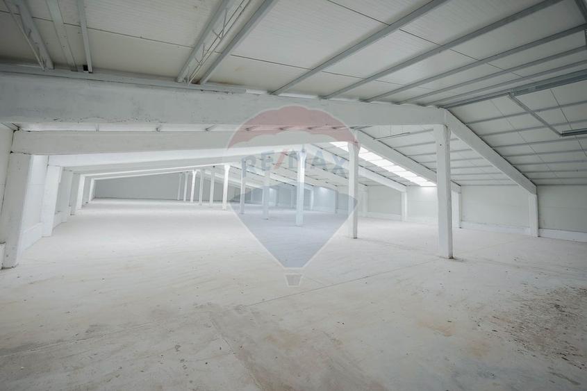De vânzare – 2 hale industriale, 5.050 mp utili, Palota