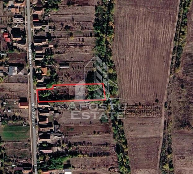 Se vinde teren intravilan în Sânnicolau Mare – oportunitate rară