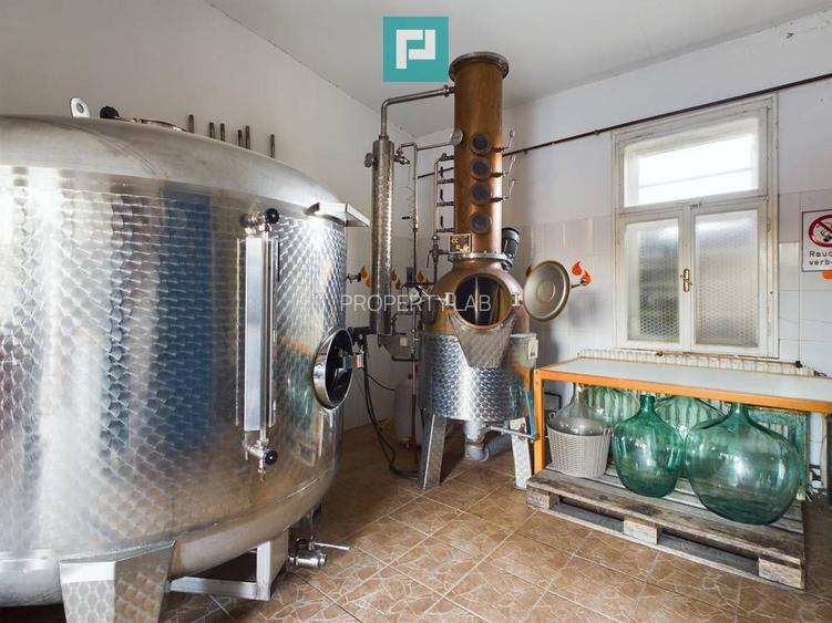 Pivnițele Birăuaș D.O.C Miniș - RATE FĂRĂ DOBÂNDĂ - 21