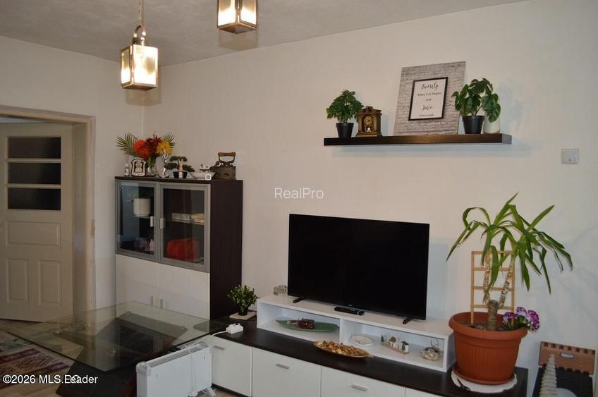 Nucsoara - Casa cu teren 600 mp - 21