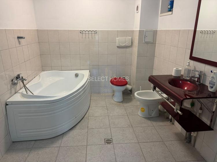 Domeniu de 13.054 mp cu vilă de ~1.000mpc și lac privat Teisori, Bulbucata - 11