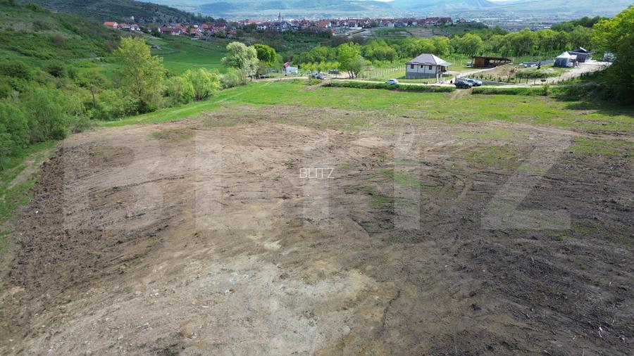Teren 15.100 mp la baza pădurii – ideal parcelare | 14 loturi | priveliște super - 12