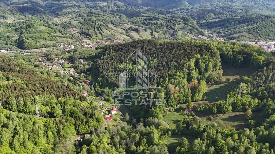 Oportunitate! Domeniu montan, cu lac propriu, oras Lupeni, Hunedoara - 12