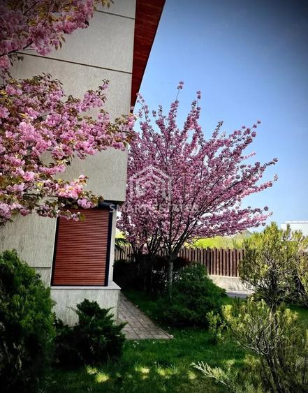Vila Premium de Vanzare 241 mp I Sisesti