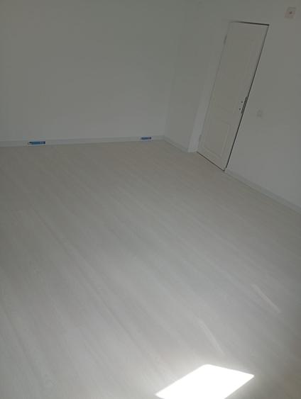Vanzare casa Balaceanca