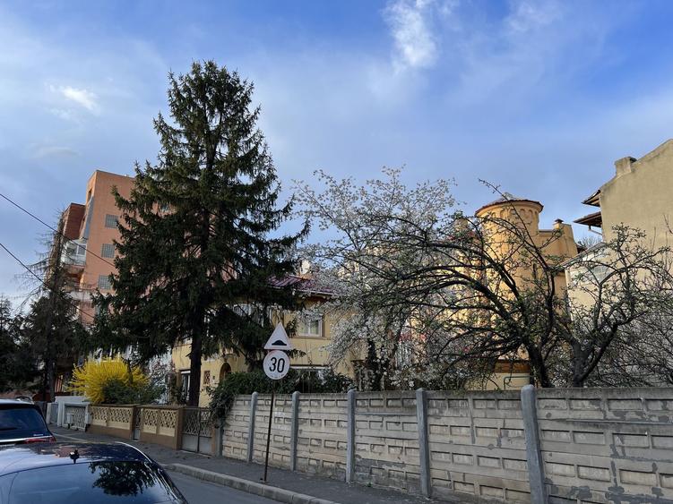 Vila Primaverii 300 mp utili teren 250 mp