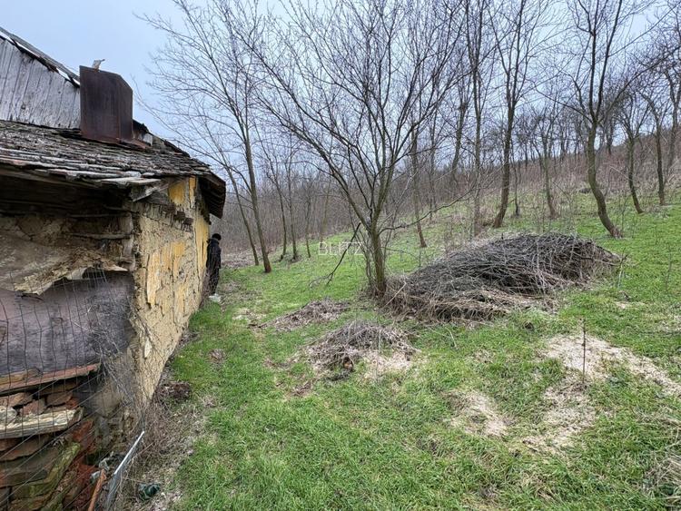 Teren 2.038 mp + Casă 50 mp de vânzare – Sat Luncsoru, Com. Ghercești - 11