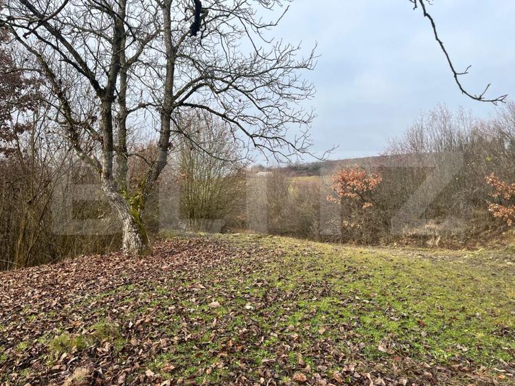Teren extravilan, 4 hectare, langa livada de mere Ghinda