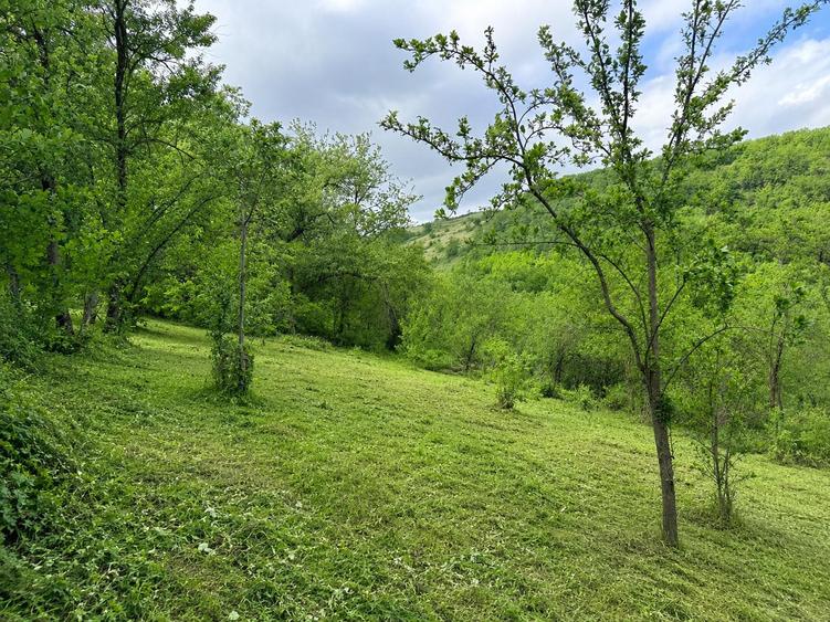Casă individuală în Geoagiu Băi, 5280 mp teren, poziție excelentă