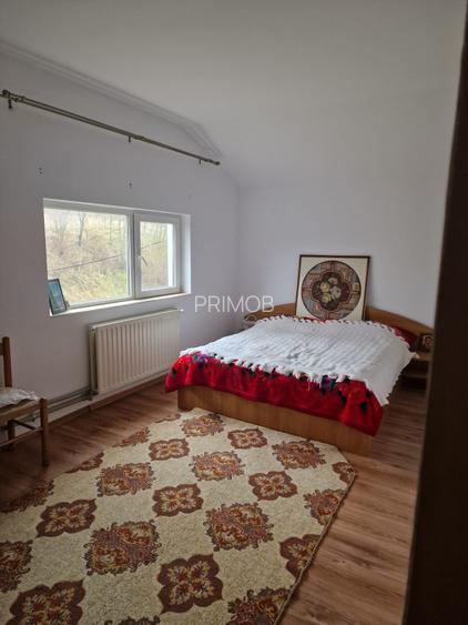 Vila P+E si teren intravilan 1,5Ha,cu zavoi+iaz,lac peste si livada-investitie - 10