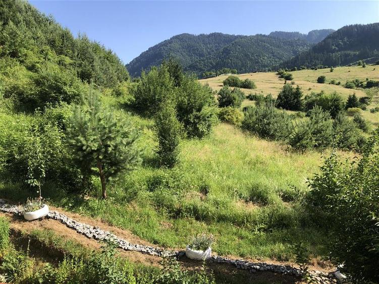 BLOC IN NATURA | 2 camere etaj intermediar cu parcare | Coasta Vie Sacele Cernat