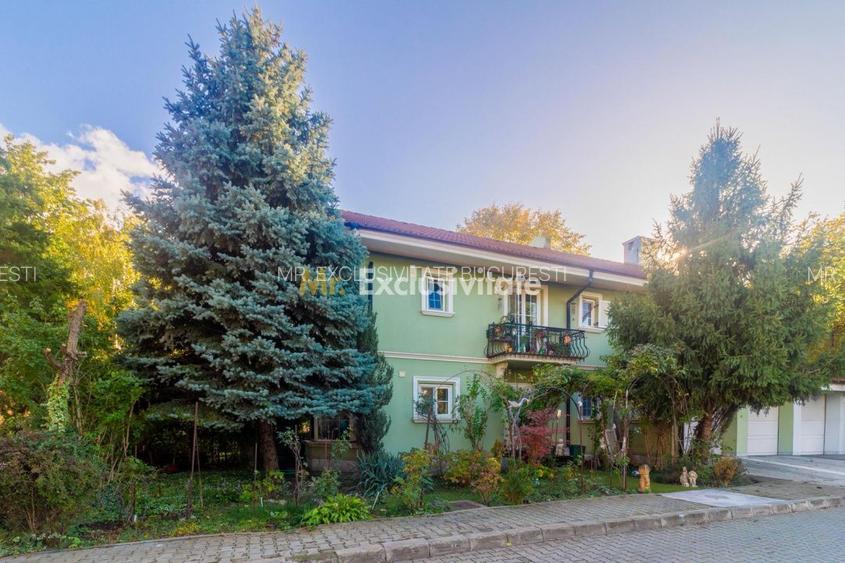 Vila Erou Iancu Nicolae,  Park Rezidential Baneasa. - 35
