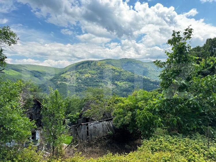 Casă la munte cu teren generos de 9340mp în zona Căpâlna - Valea Sebeșului