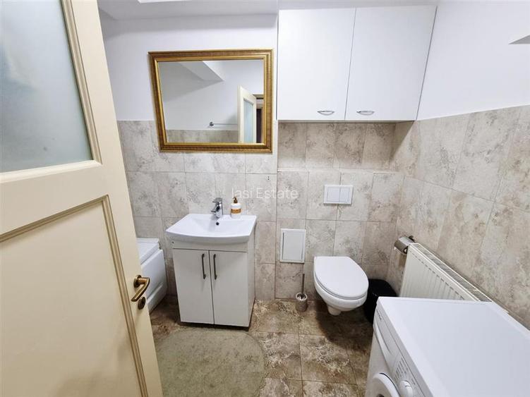 Apartament spatios cu 2 camere de inchiriat in Bucium - 10