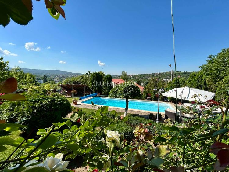 Vila de lux 310 mp construiti, cu piscina 40mp, Bucium Iasi, 1500mp teren, garaj foisor livada - 40