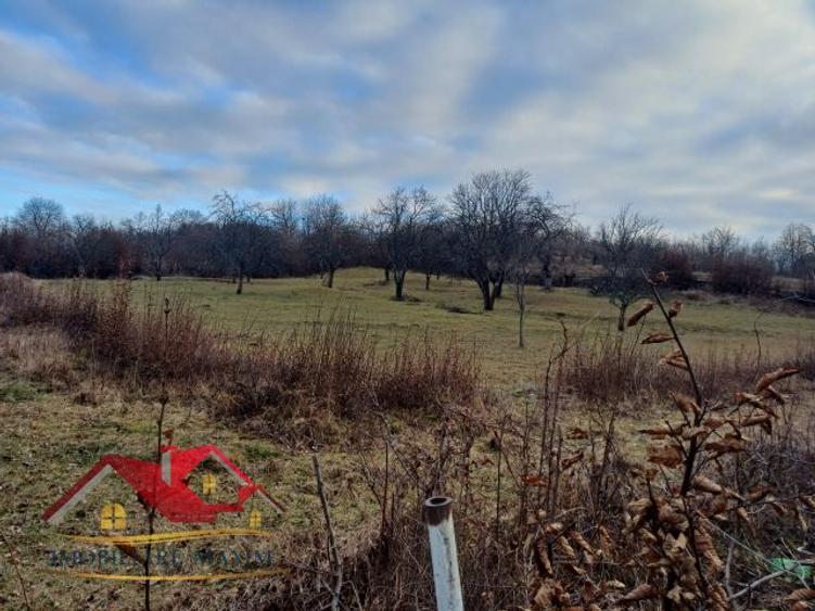 Teren Intravilan 3000 mp – Cisnădie