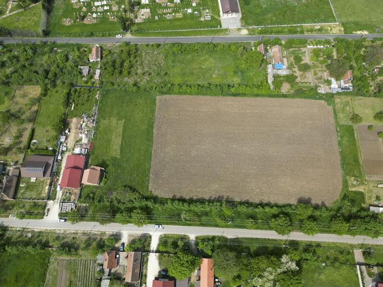 Teren Intravilan de 3,090 mp în Cuvin