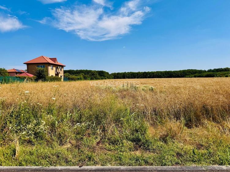 TEREN -INTRAVILLAN-SUPERB-SNAGOV-PADURE-UTILITATI - 9