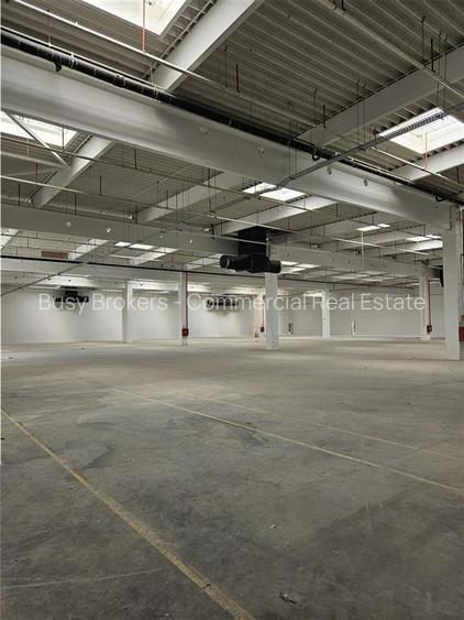 Spatiu Industrial - 3000 mp - Logistica - Productie - Depozitare - Distributie - 7