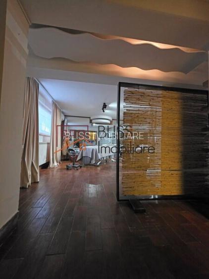 Vila 12 camere Nordului Herastrau rezidential comercial - 15