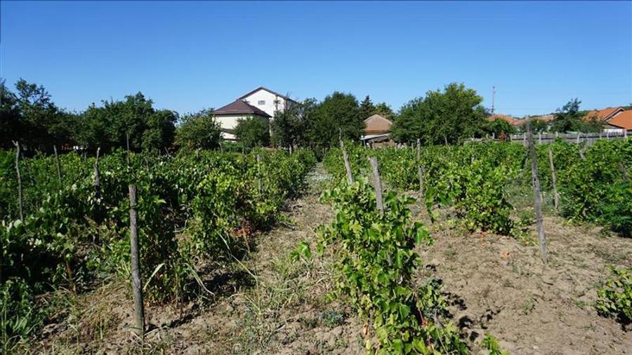 Teren stradal cu casa veche in Podari - toate utilitatile